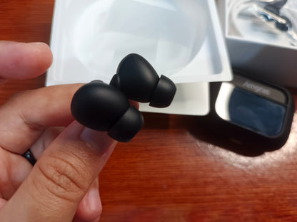 Amgras Eternity IV Major Earbuds